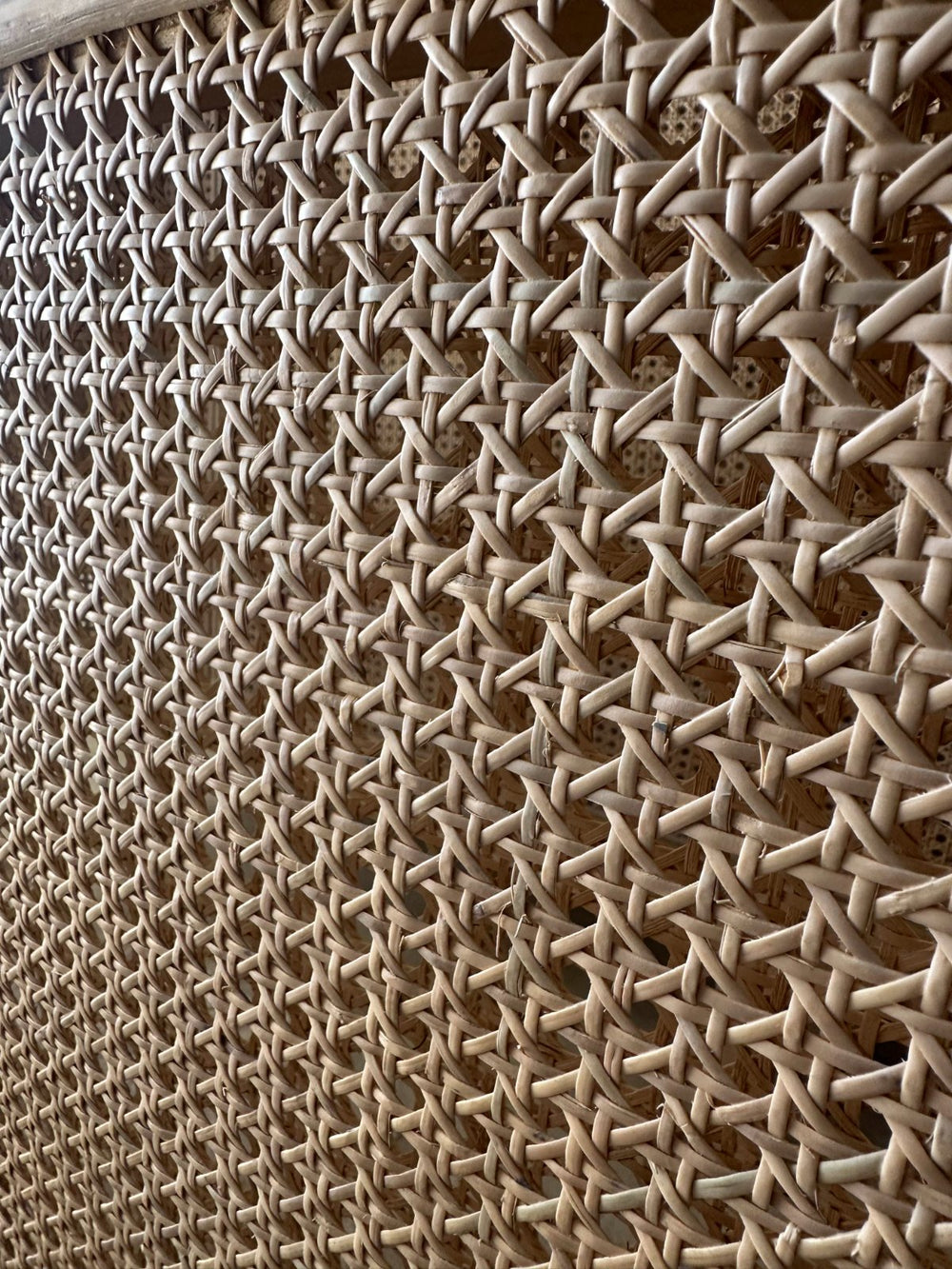 Six panels of natural cane, woven strand over strand and seated into a groove cut for them. Taut for decades.